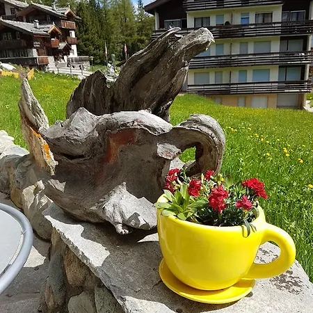 Alpenperle